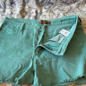 Judy Blue Mint Green Denim Cutoff Shorts